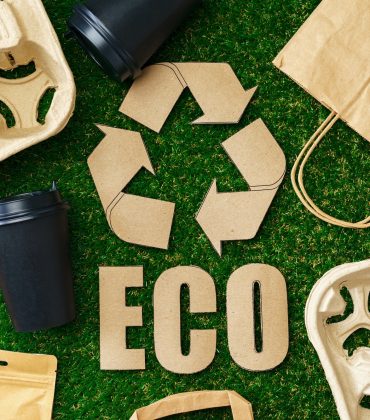 Recycle takeout coffee cups and trays ecological concept
